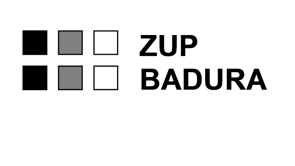 ZUP Badura Limited